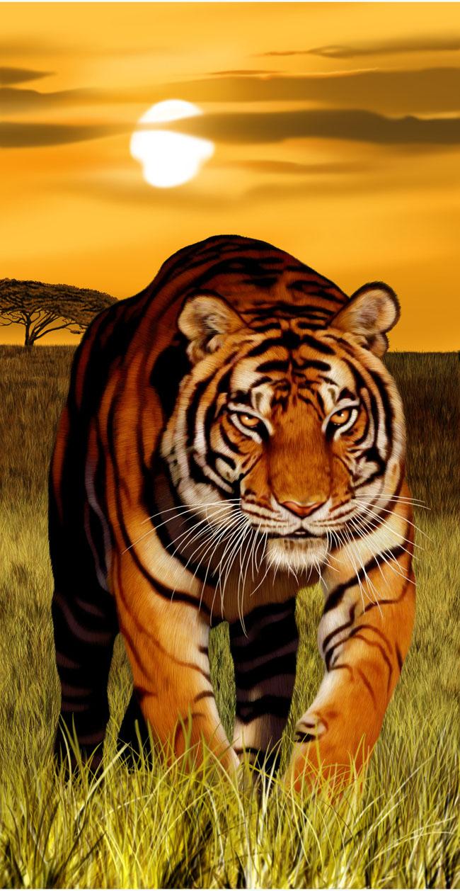 BR5661 BENGAL TIGER