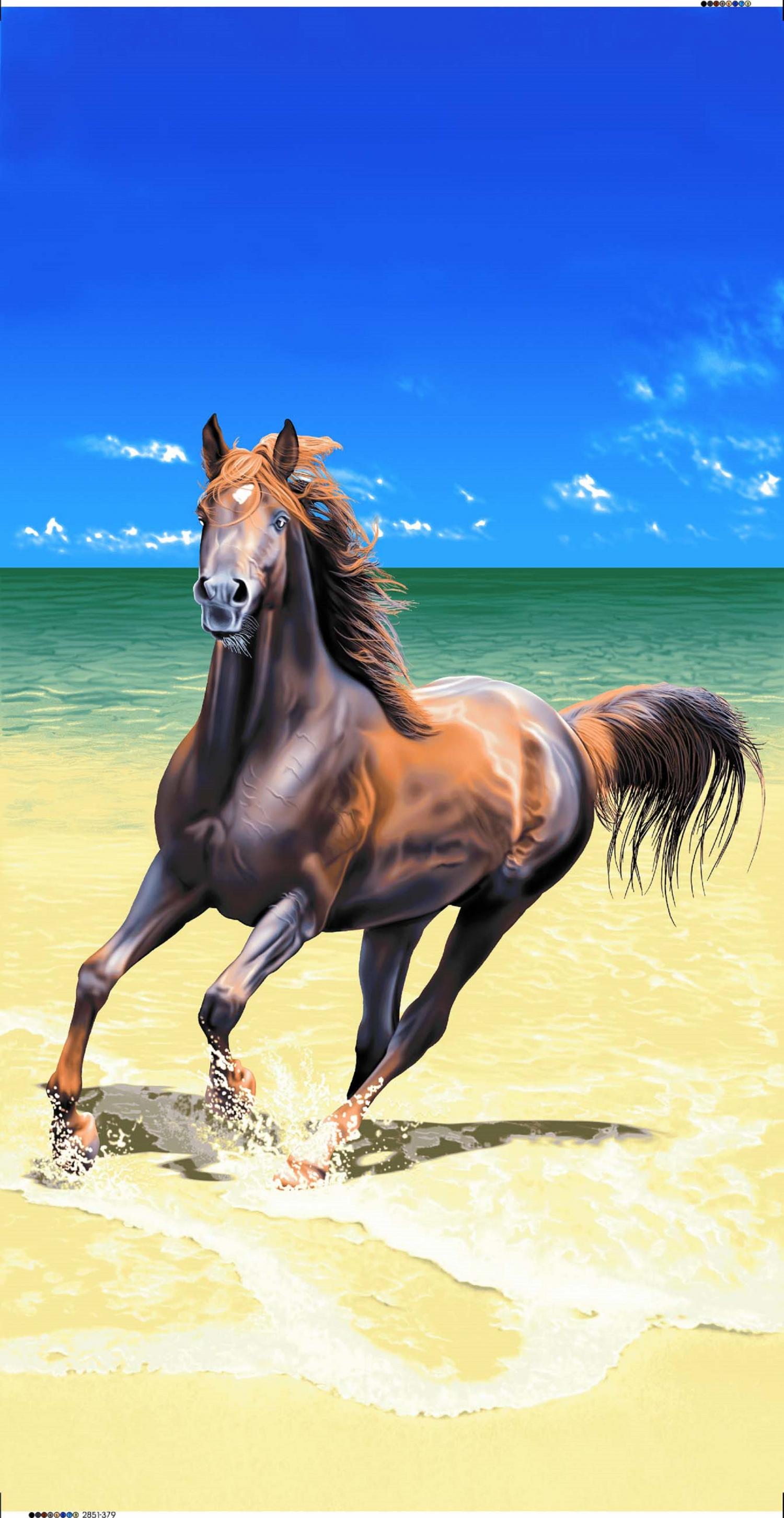 BR2851 HORSE ON BEACH