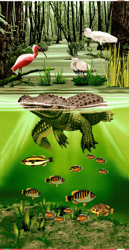 image-552182-BRALLIGATOR_NEW.jpg